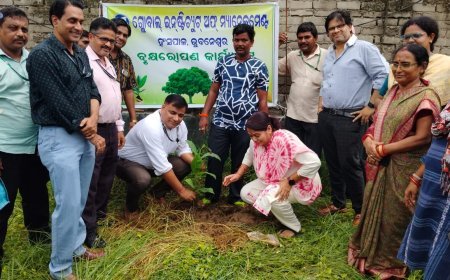 ଗ୍ଲୋବାଲ ଇନଷ୍ଟିଚିଉଟ ଅଫ ମ୍ୟାନେଜମେଣ୍ଟ ରେ ବନମହୋତ୍ସବ