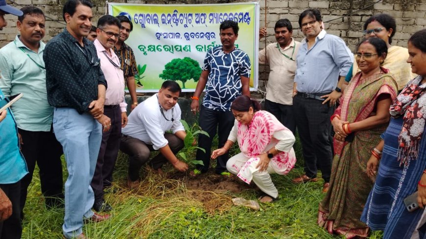 ଗ୍ଲୋବାଲ ଇନଷ୍ଟିଚିଉଟ ଅଫ ମ୍ୟାନେଜମେଣ୍ଟ ରେ ବନମହୋତ୍ସବ