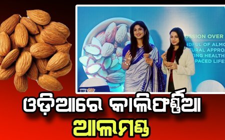 ପ୍ରତିଦିନ ଏକ ମୁଠା କାଲିଫର୍ଣ୍ଣିଆ ଆଲ୍‌ମଣ୍ଡ: ଆଜିର ବ୍ୟସ୍ତତାପୂର୍ଣ୍ଣ ଜୀବନଶୈଳୀରେ ସୁସ୍ଥ ରହିବା ପାଇଁ ଏକ ପ୍ରାକୃତିକ ଆଭିମୁଖ୍ୟ