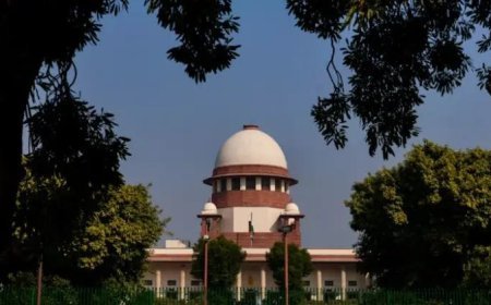 "ଗଛ କାଟିବା, ମଣିଷକୁ ହତ୍ୟା କରିବାଠାରୁ ବି ବଡ଼ ଅପରାଧ", ସୁପ୍ରିମକୋର୍ଟଙ୍କ ବଡ଼ ଶୁଣାଣି .