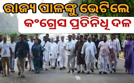 ନାରୀ ନ୍ୟାୟ ପାଇଁ ଗୃହ କମିଟି ଗଠନ ଦାବିରେ ରାଜ୍ୟପାଳଙ୍କୁ ଭେଟିଲେ କଂଗ୍ରେସ ପ୍ରତିନିଧି ଦଳ .