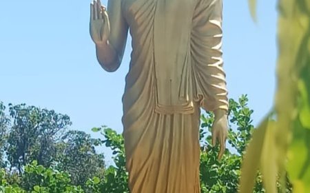 ବୁଦ୍ଧଗୟା ମହାବୌଦ୍ଧି ବିହାରରେ ଚମତ୍କାର  .