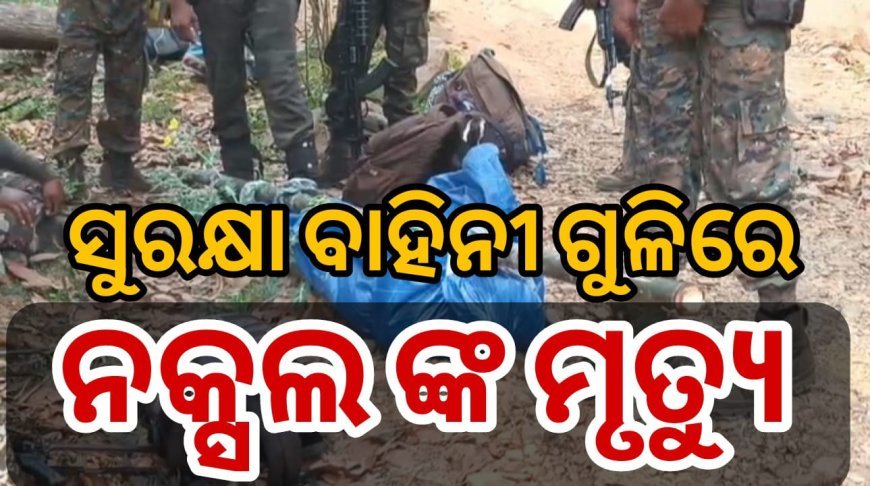 ସୁରକ୍ଷା ବାହିନୀ ଗୁଳିରେ ୧୬ ନକ୍ସଲଙ୍କ ମୃତ୍ୟୁ।