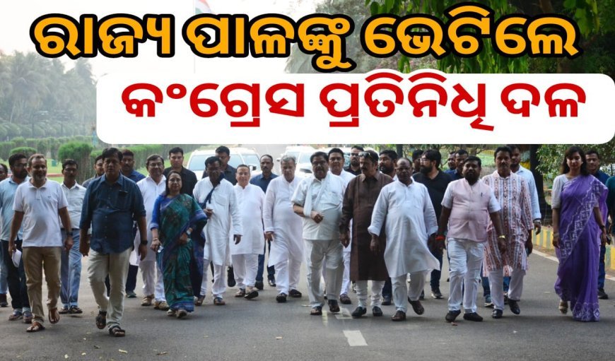 ନାରୀ ନ୍ୟାୟ ପାଇଁ ଗୃହ କମିଟି ଗଠନ ଦାବିରେ ରାଜ୍ୟପାଳଙ୍କୁ ଭେଟିଲେ କଂଗ୍ରେସ ପ୍ରତିନିଧି ଦଳ .