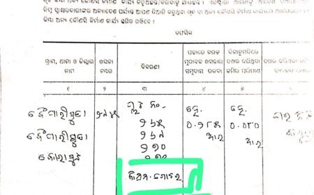 Bjd ଶାସନ ସମୟରେ ଗୋଚର ଜମିକୁ ଖାଇ ଗଲେ ବିଜେଡି ନେତା .