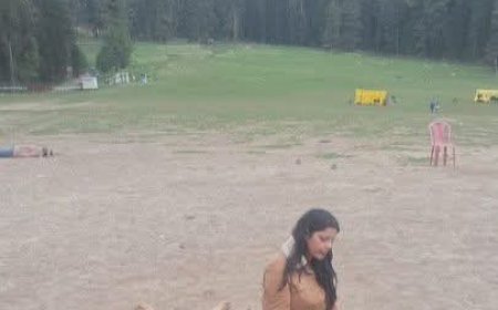 ଗୋଟେ ପାକିସ୍ତାନୀ ଭିଡ଼ିଓ ଦେଖିଲି.