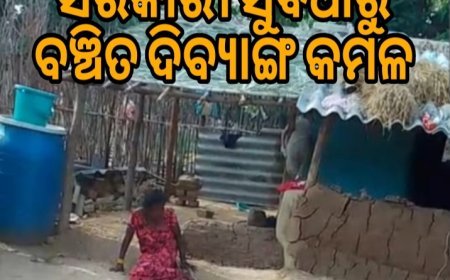 ସରକାରୀ ସୁବିଧାରୁ ବଞ୍ଚିତ ଦିବ୍ୟାଙ୍ଗ କମଳା।