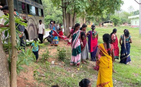 ୧୧୬ ଦାଦନ ଶ୍ରମିକଙ୍କୁ ଉଦ୍ଧାର କଲେ ଜିଲ୍ଳା ଶ୍ରମ ଏବଂ ପରିବହନ ବିଭାଗ ।