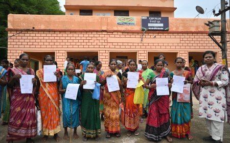 ପିପଲଗୁଡା, କାରୁବାଇ ଓ ବାଇସିଙ୍ଗ ଗ୍ରାମ ପଞ୍ଚାୟତ ବୁଲିଲା ବିକାଶ ବାହନ.