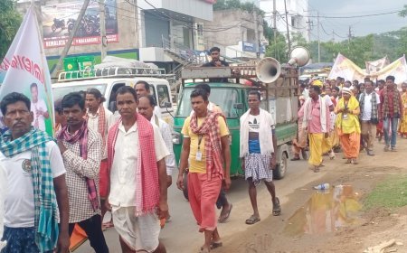 ୱାଡେ , ଶିରୁଆ ଓ ପୂଜାରୀମାନଙ୍କ ଦ୍ଵାରା ଜିଲ୍ଲାପାଳଙ୍କୁ ଦାବି ପ୍ରଦାନ 