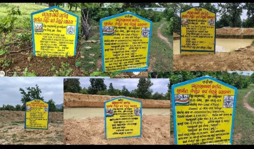 ପଞ୍ଚାୟତ ପାଲଟିଛି ମନରେଗା କାମରେ ଦୁର୍ନୀତି ର ଗନ୍ତାଘର।