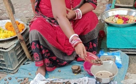 ଆଦିବାସୀଙ୍କ ବର୍ଷା ଦିନିଆ ଜୀବିକାର ବାଟ ଦେଖାଉଛି "ବୋଡାଛତୁ" ।