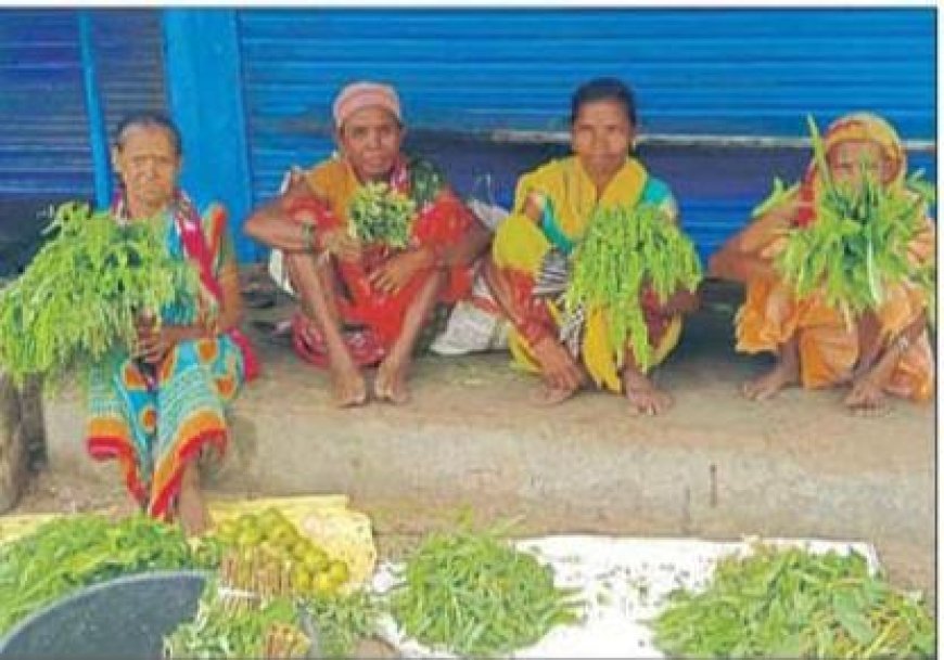 ଜୀବନର ଶେଷ ବୟସରେ ଶାଗ ବିକି ସ୍ବାବଲମ୍ବୀ ।