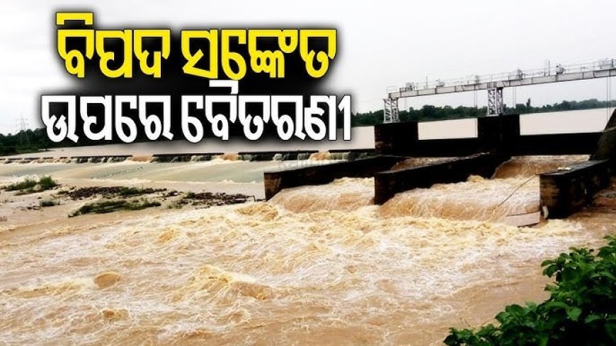 ଫୁଲୁଛି ବୈତରଣୀ ; ଆଖୁଆପଦା ଠାରେ ବିପଦ ସଙ୍କେତ ଉପରେ ପ୍ରବାହିତ I