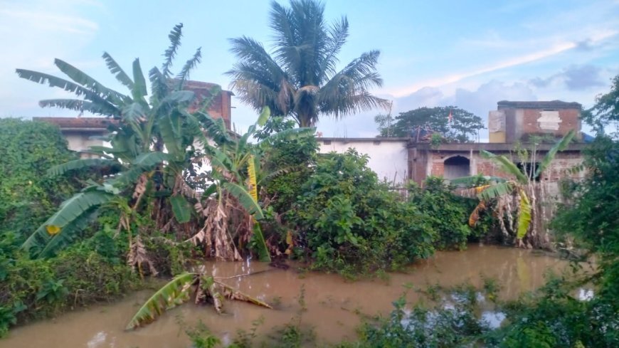 ବ୍ରାହ୍ମଣୀ ନଦୀରେ ୩ୟ ବନ୍ୟା *ବ୍ୟାପକ ଅଂଚଳ ଜଳମଗ୍ନ ସିଂହଗାଁ ବାହ୍ୟଜଗତରୁ ବିଛିନ୍ନ I