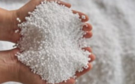 ୟୁରିଆ ସାରର କୃତ୍ରିମ ଅଭାବ, ଚାଷୀଙ୍କ ଭିଡ଼ ପାଇଁ ଅପ୍ରୀତିକର