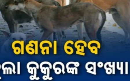 ରାଜ୍ୟରେ ପ୍ରଥମଥର ପାଇଁ ଭୁବନେଶ୍ୱର ମହାନଗର ନିଗମ (ବିଏମସି) ପକ୍ଷରୁ ହେବ ବୁଲା କୁକୁର ଗଣନା ।