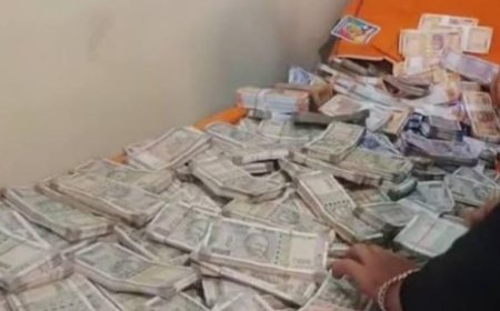 ରେଞ୍ଜରଙ୍କ ପୈତୃକ ଘରେ ଭିଜିଲାନ୍ସ: