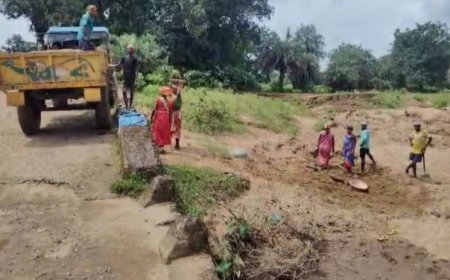 ବେଧଡ଼କ ଟ୍ରାକ୍ଟରରେ ବୁହା ଚାଲିଛି ଚୋରା ବାଲି ଚାଲାଣ .