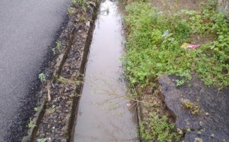 ବର୍ଷାରେ ଭିଜିବ ପାର୍ବଣ