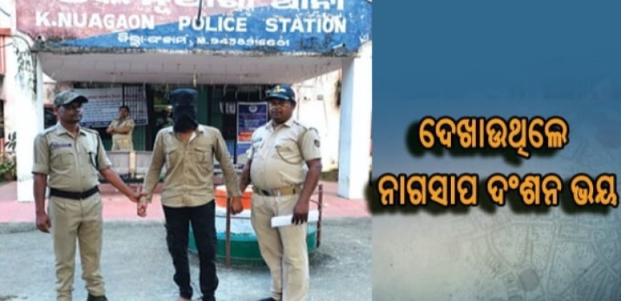 ଫାଇନାନ୍ସ ସଂସ୍ଥାର ଏଜେଣ୍ଟଙ୍କୁ ଅପହରଣ କରି କୋଟିଏ ଟଙ୍କା ରଖିଥିଲେ ମୁଣ୍ଡ ଜାମିନ..