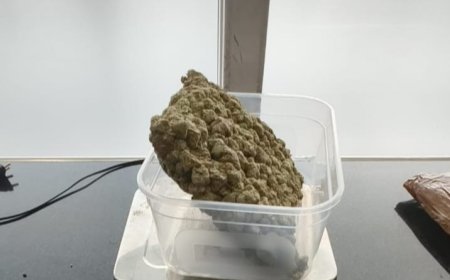 ୩_କୋଟିର_ମାରିଜୁଆନା_ଜବତ.