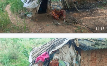 ଏମାନେ ଗରିବ ନୁହନ୍ତି କି? ବଣେଇପାଲି (ବିୟୁ୍ରୋ )ତା 21-10-2025ଏମାନେ ଗରିବ ନୁହନ୍ତି କି? ସରକାର ଯୋଜନା କରୁଛି ଗରିବର ଉନ୍ନତି ପାଇଁ ଓ ଗରିବ ଦୁଃଖ ଦୂର କରିବାର ପ୍ରୟାସ କରୁଛି l