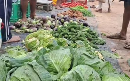 ରଗଡ଼ି ଛକରେ ଅଷ୍ଟଶମ୍ଭୁ ପରିବା ବଜାର ଶୁଭାରମ୍ଭ.