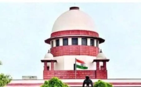 ସରକାରୀ କାର୍ଯ୍ୟାଳୟରେ ବୁଲା କୁକୁରଙ୍କୁ ଖାଇବା ଦେବା ମନା : ସୁପ୍ରିମକୋର୍ଟ