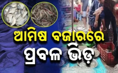  ଛାଡଖାଇ ପାଇଁ ଆମିଷ ବଜାରରେ ଭିଡ଼: