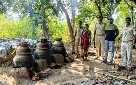 ଅବକାରୀ ବିଭାଗର ଚଢ଼ାଉ ,