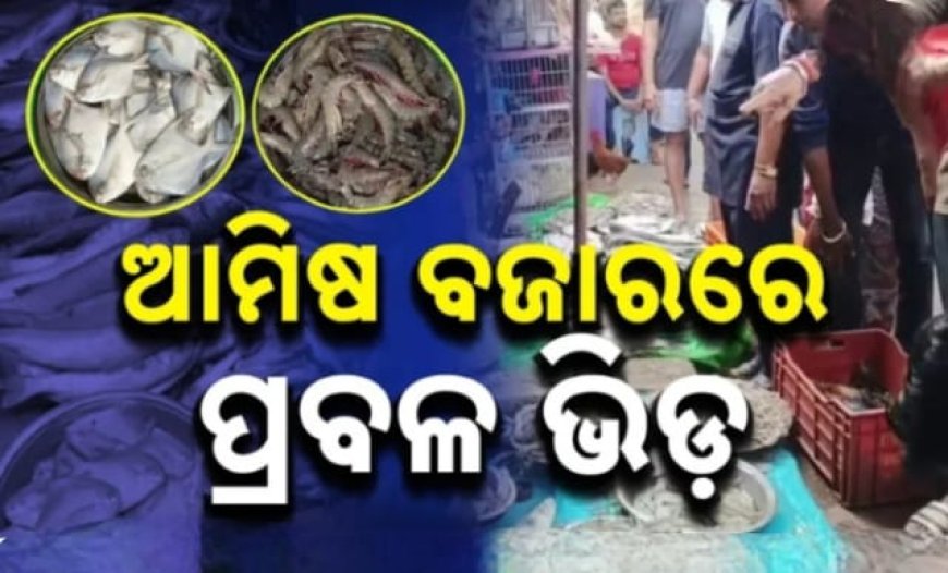  ଛାଡଖାଇ ପାଇଁ ଆମିଷ ବଜାରରେ ଭିଡ଼: