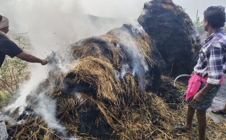 ନିଆଁ ଲାଗି ଜଳିଗଲା ସାଢ଼େ ତିନି ଏକରର ଧାନ ଖରି I