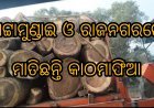 ପଟ୍ଟାମୁଣ୍ଡାଇ ଓ ରାଜନଗର ରେ ମାତିଛନ୍ତି କାଠମାଫିଆ ସବୁ ଦେଖି ଚୁପ୍ ବସିଛି ବନବିଭାଗ।