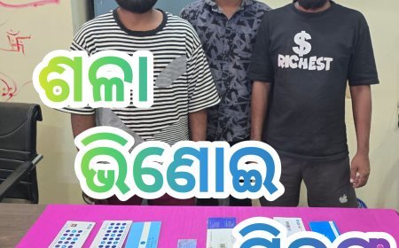 ମ୍ୟୁଲ ଆକାଉଣ୍ଟ: ଶଳା ଭିଣୋଇ ଗିରଫ