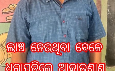 ଲାଞ୍ଚ ନେଉଥିବା ବେଳେ ଧରାପଡ଼ିଲେ ଆକାଉଣ୍ଟାଣ୍ଟ...