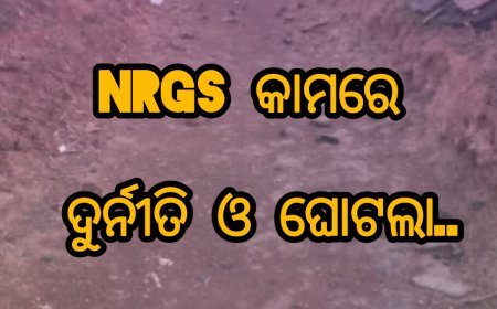 NRGS କାମ ରେ ଦୁର୍ନୀତି ଓ ଘୋଟଲା..