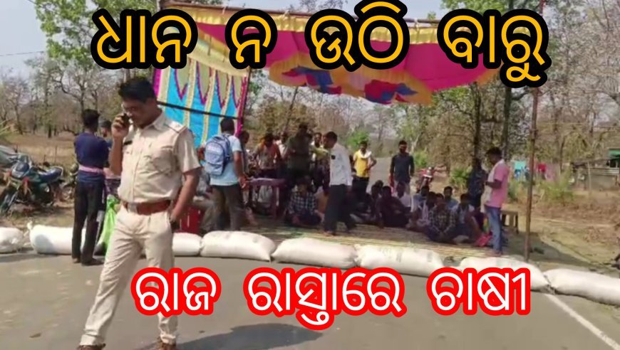 ଧାନ ନ ଉଠି ବାରୁ ଚାଷୀ ରାଜ ରାସ୍ତାରେ
