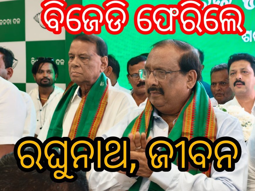 ବିଜେଡି ଫେରିଲେ ରଘୁନାଥ, ଜୀବନ..