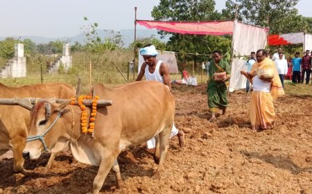 *ମାଲକାନଗିରି ଜିଲ୍ଲା ସ୍ତରୀୟ ଅକ୍ଷୟ ତୃତୀୟା ଓ କୃଷକ ଦିବସ ପାଳିତ*
