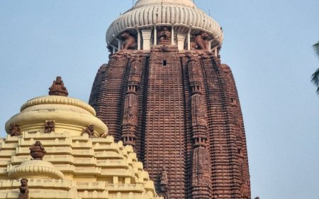 *ସେବାୟତଙ୍କ ବିବାଦରୁ ବନ୍ଦ ରହିଲା ଚାପ*