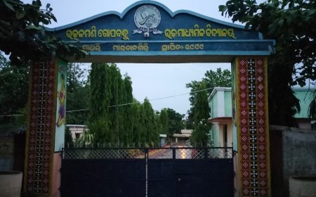 ମାଥିଲି ଉତ୍କଳମଣି ଗୋପବନ୍ଧୁ ଉଚ୍ଚ ମାଧ୍ୟମିକ ବିଦ୍ୟାଳୟରେ କଳାରେ ୮୭% ବିଦ୍ୟାର୍ଥୀ ଉତ୍ତୀର୍ଣ୍ଣ ହୋଇଥିବା ବେଳେ ବାଣିଜ୍ୟରେ ୮୧% ବିଦ୍ୟାର୍ଥୀ ଉତ୍ତୀର୍ଣ୍ଣ ବିଜ୍ଞାନରେ ୯୧%ପାସହାର ରହିଛି