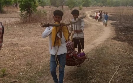 *ଆମ୍ବୁଲାନ୍ସ ବିଳମ୍ବରୁ ଯାଆଁଳା ଶିଶୁ ମୃତ !*