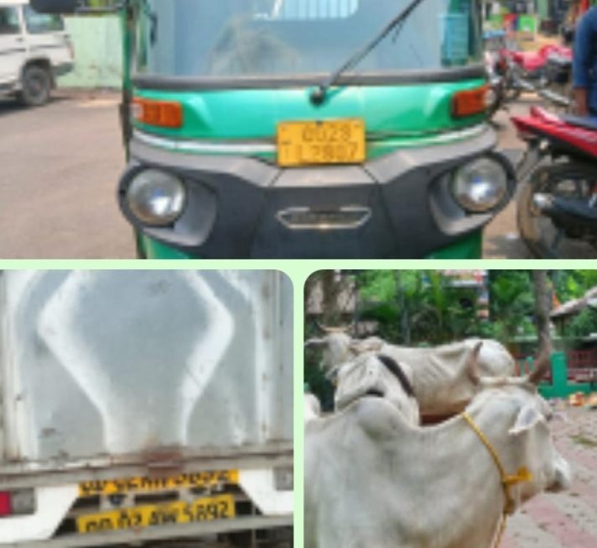 ପଟ୍ଟାମୁଣ୍ଡାଇ ଆଦର୍ଶ ଥାନା ର ସଫଳତା ,ଗୋରୁ ଗାଡି ଜବତ, ୩ କୋର୍ଟ ଚାଲାଣ।
