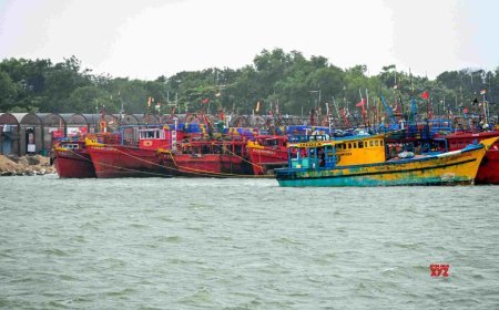 ଆଜିଠାରୁ ପୁଣି ଚଳଚଞ୍ଚଳ ହେବ ପାରାଦ୍ୱୀପ ମାଛଧରା ବନ୍ଦର*
