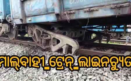 ମାଲ୍‌ବାହୀ_ଟ୍ରେନ୍_ଲାଇନଚ୍ୟୁତ