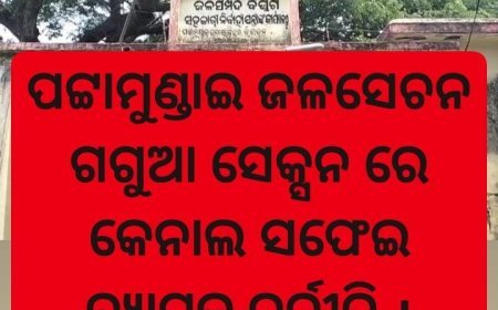ପଟ୍ଟାମୁଣ୍ଡାଇ ଜଳସମ୍ପଦ ବିଭାଗ ଗଗୁଆ ସେକ୍ସନ  ରେ  କେନାଲ ସଫେଇ ନାଁ ରେ ବ୍ୟାପକ ଦୁର୍ନୀତି  |