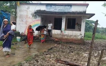 ରାଜନଗର ନିର୍ବାଚନ ମଣ୍ଡଳୀ କେତେ ବିକଶିତ  ତାହା ମଙ୍ଗରାଜପୂର୍ ଅଙ୍ଗନବାଡି  କେନ୍ଦ୍ର ର ରାସ୍ତା ରୁ ଜଣାପଡ଼େ।