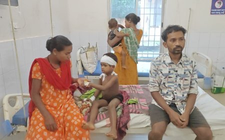 ବାଘ ଆତଙ୍କ ମୃତ୍ୟୁ ମୁଖ ରୁ ଝିଅ କୁ ଉଦ୍ଧାର କଲା ମାଆ