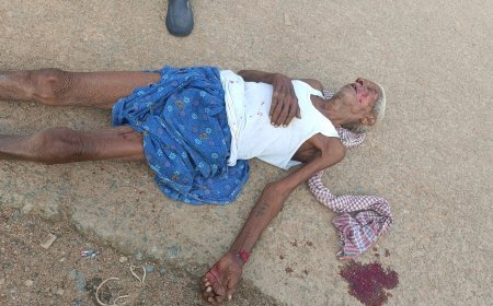 କୁକୁର କାମୁଡ଼ାରେ ବାରଜଣ ଗୁରୁତର (ଆହତ )